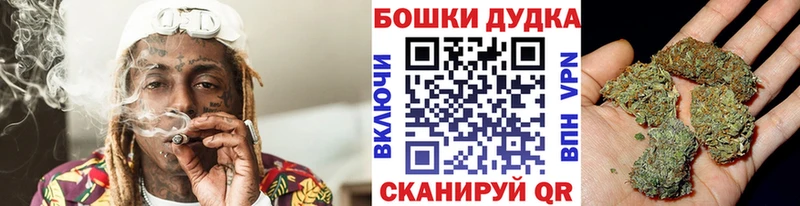 Шишки марихуана планчик  МЕГА ССЫЛКА  Королёв 